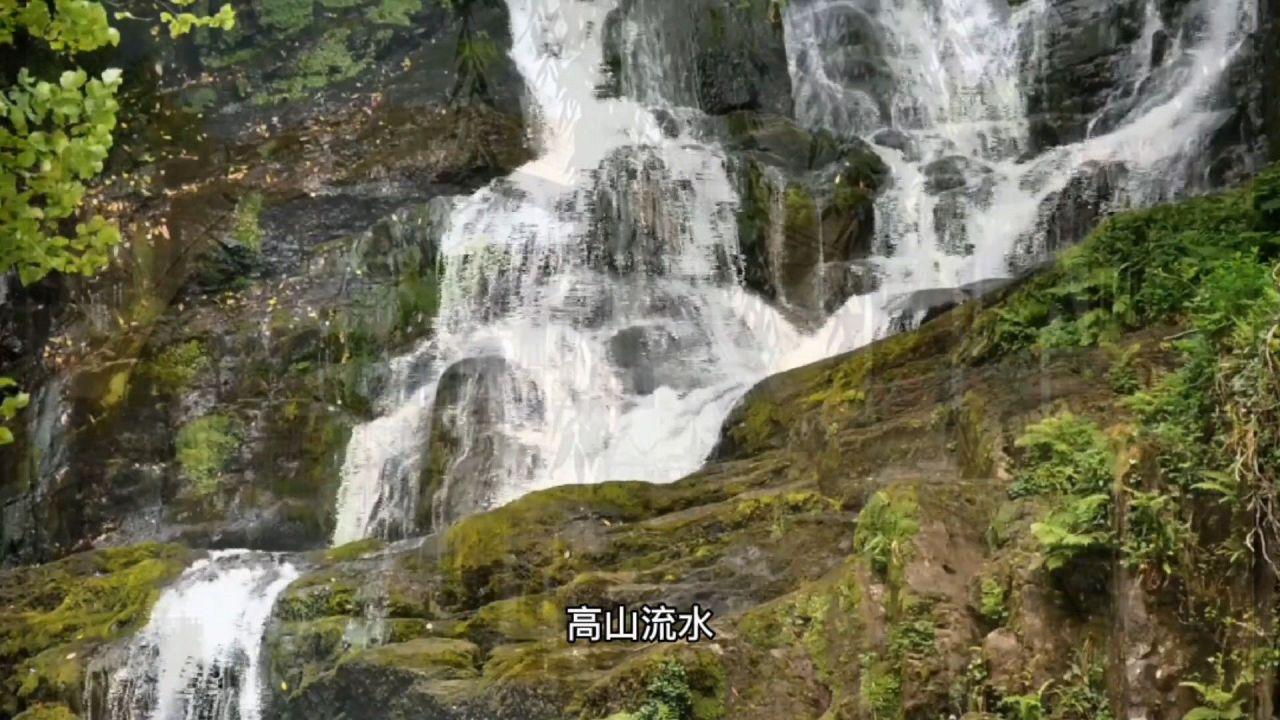 大门开在什么位置游戏画面